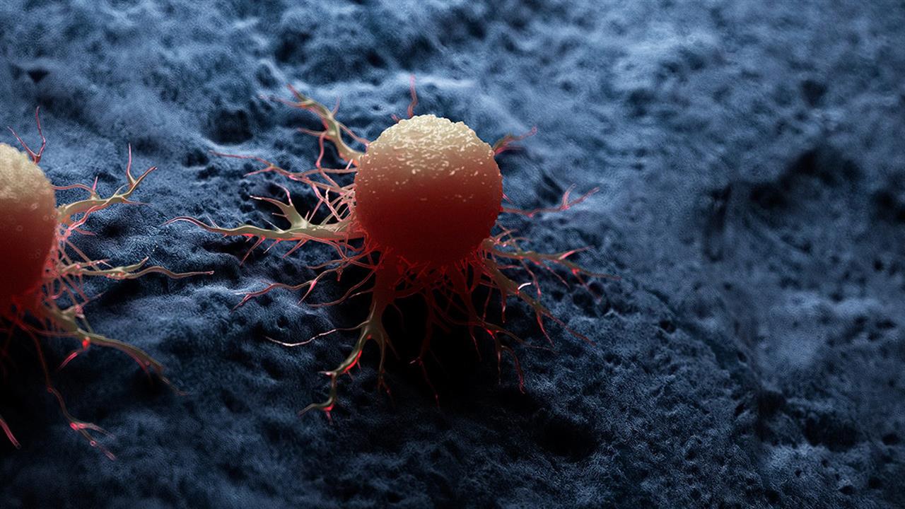 Εξασθενημένος ιός συμβάλλει στην εξουδετέρωση του καρκίνου σε πειραματόζωα