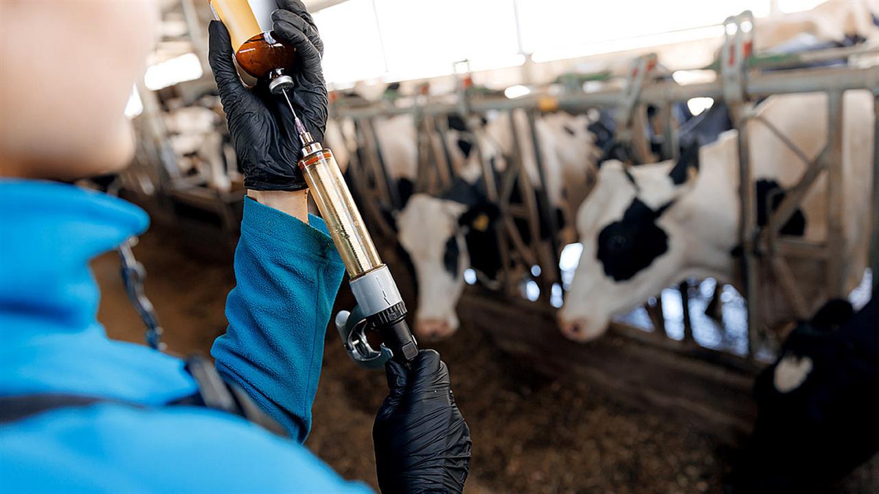 FDA: Η  παστερίωση σκοτώνει τους ιούς γρίπης των πτηνών στο αγελαδινό γάλα [μελέτη]