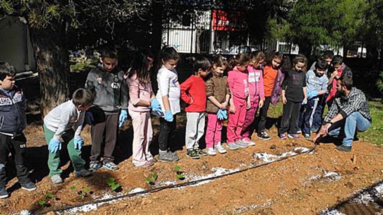 Το Παιδειατροφή μετατρέπει σχολικές αυλές σε λαχανόκηπους!