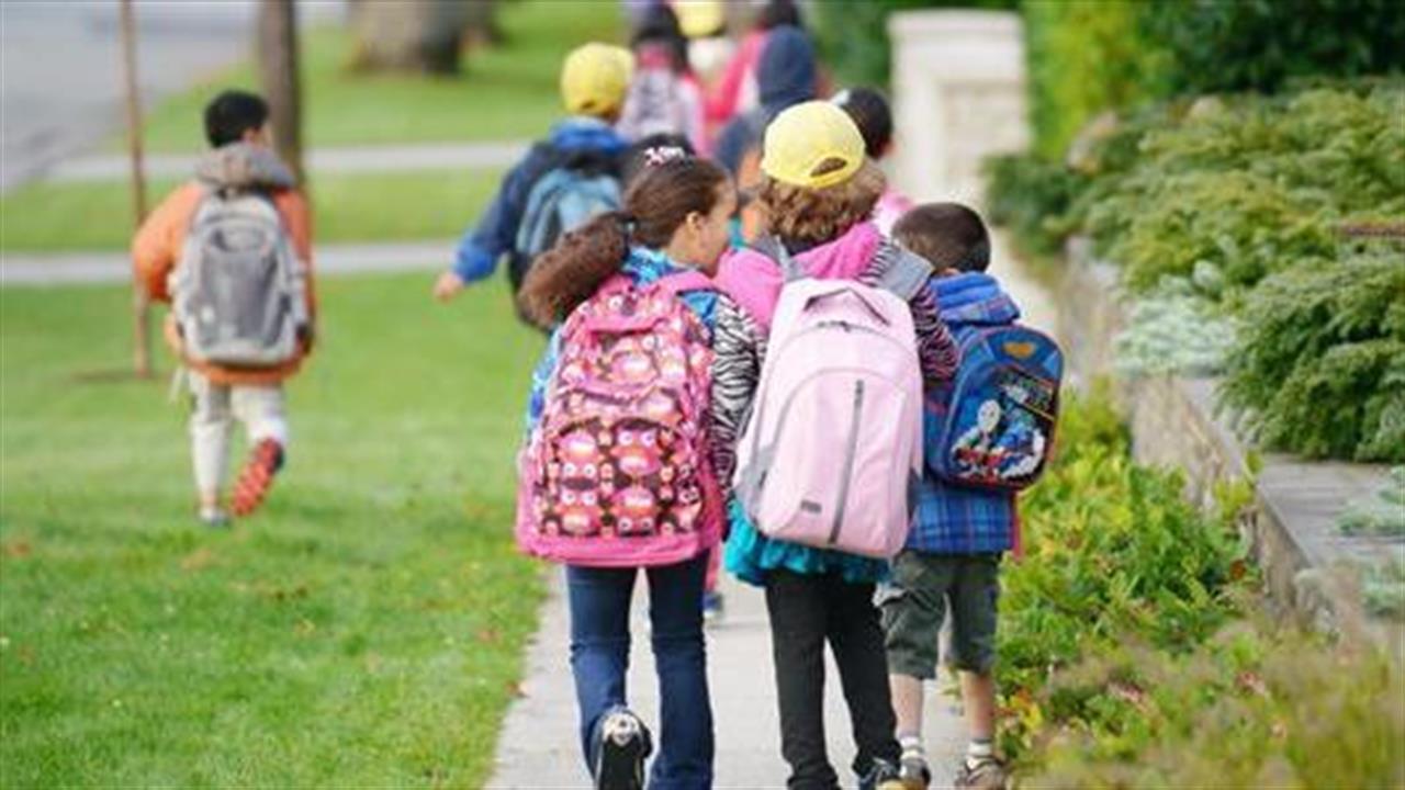 Go to school предложения. Картинка walk to School. Nancy walk to School. David walk to School. 1. Our children ＿ (go) out for walk..