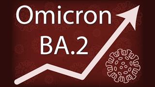 Έρευνα: Πιο μεταδοτική η υποπαραλλαγή BA.2 της Όμικρον 