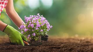 Με την κηπουρική ''ανθίζει'' η ψυχική υγεία