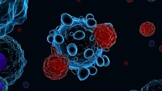 Θεραπεία καρκίνου: Τ- κύτταρα κατά όγκων