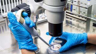 Επιστήμονες κατέστρεψαν το 99% καρκινικών κυττάρων στο εργαστήριο με μόρια που δονούνται