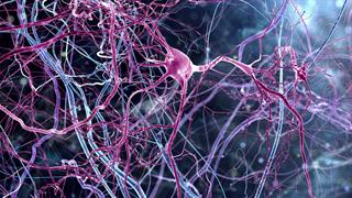 Ρινικό σπρέι καθαρίζει νευρώνες του εγκεφάλου από πρωτεΐνες που προκαλούν Αλτσχάιμερ
