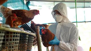 Απειλητική η γρίπη των πτηνών: Τέσσερα νέα κρούσματα σε ανθρώπους στις ΗΠΑ