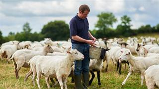 Πανώλη στα αιγοπρόβατα: Σε «Κατάσταση Ειδικής Κινητοποίησης» η Θεσσαλία
