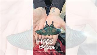 Hope Blooms: Εκπαίδευση Επαγγελματιών Ψυχικής Υγείας στη συμβουλευτική για τις σπάνιες παθήσεις και τη διαχείριση της απώλειας, από την ΑμΚΕ Καρκινάκι