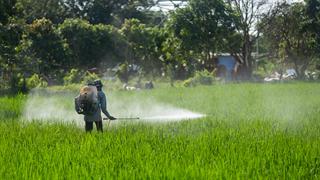 Η Bayer εξετάζει την πλήρη απαγόρευση της πώλησης γλυφοσάτης στις ΗΠΑ