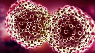 Καρκίνος πεπτικού: Μοριακά τεστ δείχνουν την κληρονομική προδιάθεση