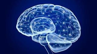 Ερευνητές ανέπτυξαν φάρμακο που πιθανόν θα αποκαθιστά την εγκεφαλική βλάβη στο εγκεφαλικό επεισόδιο